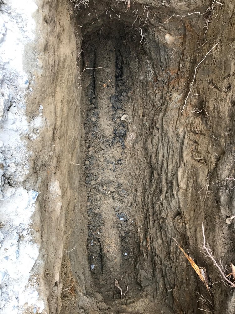 Slide of All About Rooter