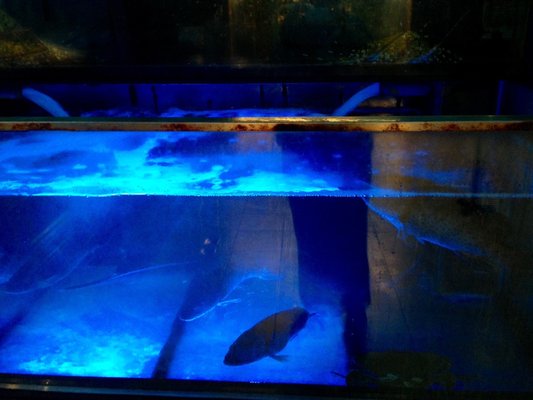 Really Good Seafood- Taipei Flagship Store by null