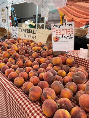 Farmers Market - Wednesday/Saturday Downtown Santa Monica by null