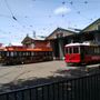 Bendigo Tramways