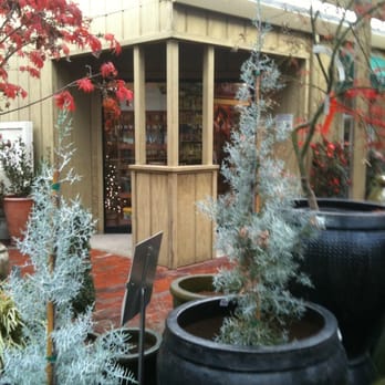 The Greenery Nursery - the "club house" - Nurseries & Gardening Near Me - Turlock, California