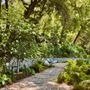 Photo of Nectar Landscape Design