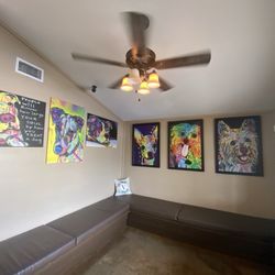 The Village Veterinarian - Fun art in waiting area!  While always professional,every staff person seems to love animals!