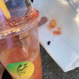 I bit into something thinking it's mango. BUT IT WAS CRUNCHY SO I WAS LIKE WTF AND IT WAS A FLY?!?!?!?!?!?