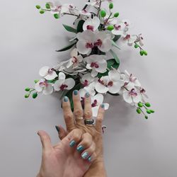 Deluxe Nails & Spa