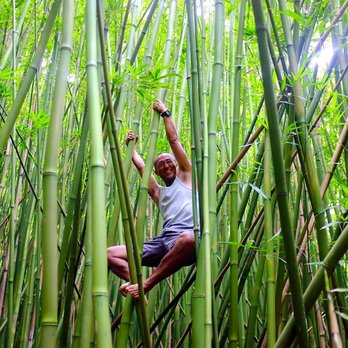 Maui Aloha Adventures - Bamboo forest - Tours Near Me - Makawao, Hawaii Maui Aloha Adventures - Bamboo forest - Tours Near Me - Makawao, Hawaii
