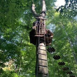 Go Ape Zipline & Adventure Park - Climbing tower.