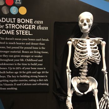 The Discovery - Museums Near Me - Reno, Nevada The Discovery - Museums Near Me - Reno, Nevada