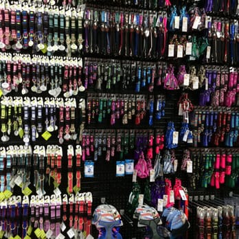Hollywood Feed - Collars for days - Pet Groomers Near Me - Dallas, Texas Hollywood Feed - Collars for days - Pet Groomers Near Me - Dallas, Texas