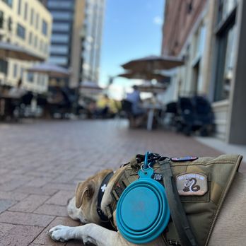 The Delectable Egg-Denver - Waiting patiently for our table. - Breakfast & Brunch Near Me - Denver, Colorado The Delectable Egg-Denver - Waiting patiently for our table. - Breakfast & Brunch Near Me - Denver, Colorado
