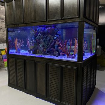Aquarium Maintenance - 1200 gallon aquarium - Aquarium Services Near Me Aquarium Maintenance - 1200 gallon aquarium - Aquarium Services Near Me