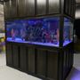 Photo of Aquarium Maintenance