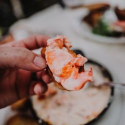 The Lexington - Lobster & Cauliflower Cheese