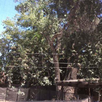 Garibay's Tree Service - Tree Services Near Me Garibay's Tree Service - Tree Services Near Me