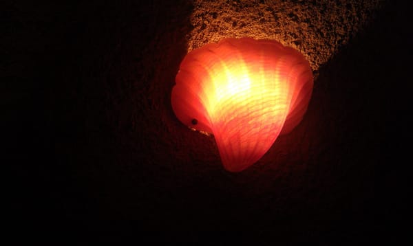 Vine Cliff Winery by null