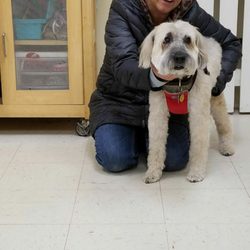 The Grooming Room - Oakley, we'll never forget you, rest in peace...