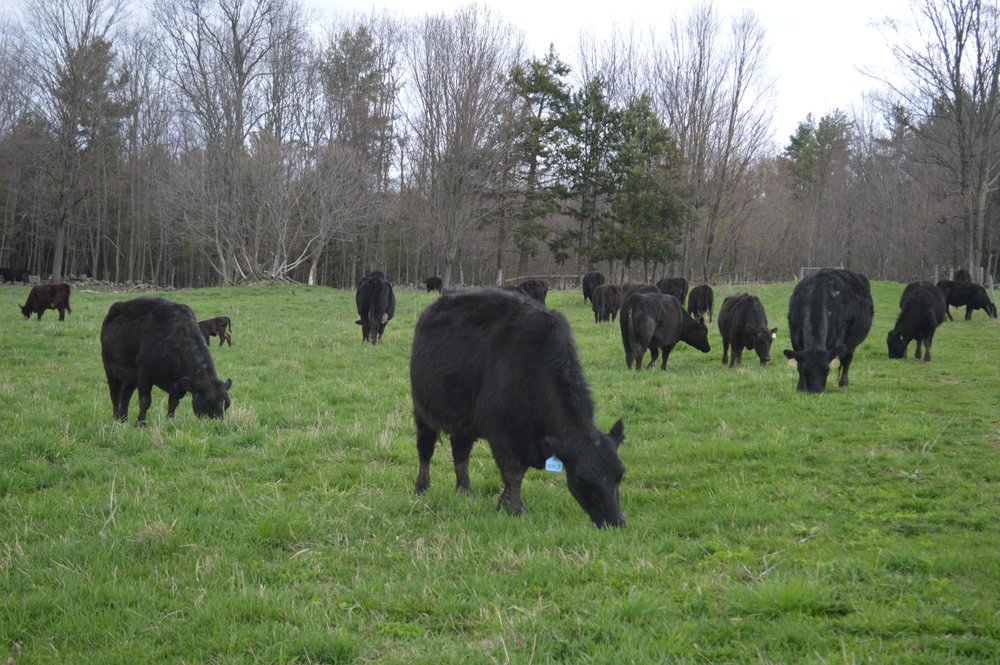 MACK BROOK FARM Updated September 2024 312 McEachron Hill Rd