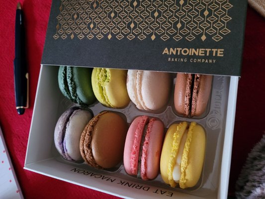 Antoinette Bakery & Cafe by null