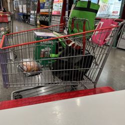 Costco - Today's haul