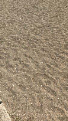 Playa la Malagueta by null