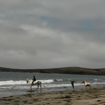 Doran Regional Park - Parks Near Me - Bodega Bay, California Doran Regional Park - Parks Near Me - Bodega Bay, California