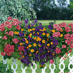 bellaflora Gartencenter