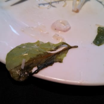 Woodside Grill - Close up of decaying lettuce that we picked out of the 2nd salad. - Bars Near Me - Anderson, California Woodside Grill - Close up of decaying lettuce that we picked out of the 2nd salad. - Bars Near Me - Anderson, California