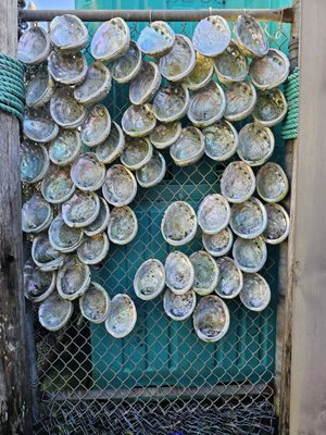 Princess Seafood Restaurant by null