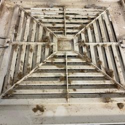 Eli Cleaning Services - Bathroom vent