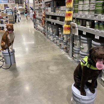 Off Leash K9 Training Cincinnati - Practicing place in Lowe's! - Pet Training Near Me - Loveland, Ohio