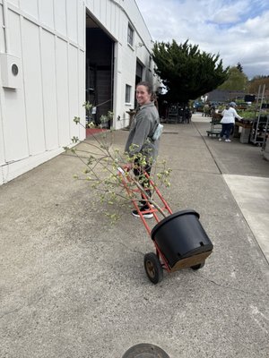 Portland Nursery by null