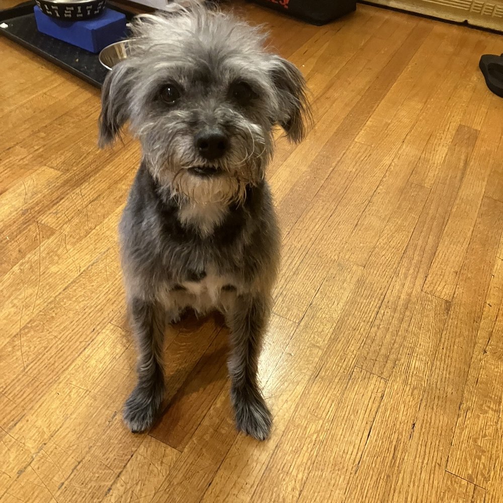 Charlie