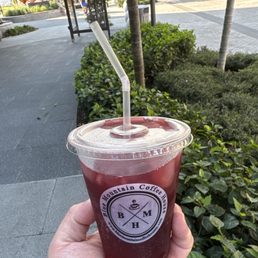 Jamaican Sorrel