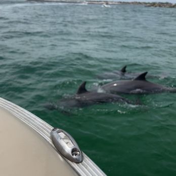 Lagoon Pontoons - Dolphins - Boating Near Me - Panama City Beach, Florida Lagoon Pontoons - Dolphins - Boating Near Me - Panama City Beach, Florida