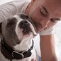 Photo of Off Leash Canine