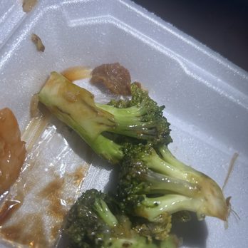 East China - Spots on broccoli is crazy not even clean 30 bucks gone for tonight - Chinese Near Me - Shaker Heights, Ohio East China - Spots on broccoli is crazy not even clean 30 bucks gone for tonight - Chinese Near Me - Shaker Heights, Ohio