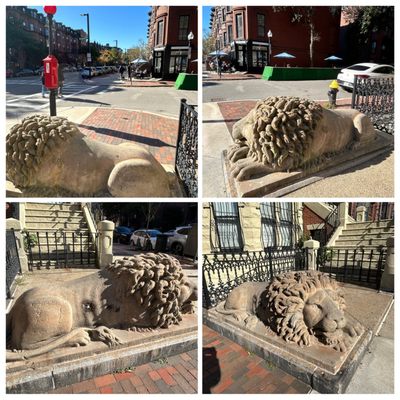 Colette Bakery by null