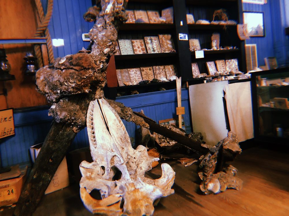 Belhaven Memorial Museum