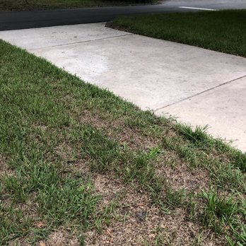 McMaster Lawn & Pest Services - After McMaster - Landscaping Near Me - De Leon Springs, Florida McMaster Lawn & Pest Services - After McMaster - Landscaping Near Me - De Leon Springs, Florida
