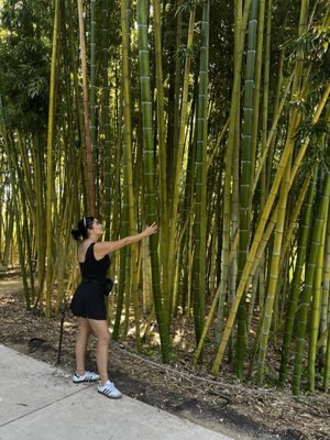 San Diego Botanic Garden by null
