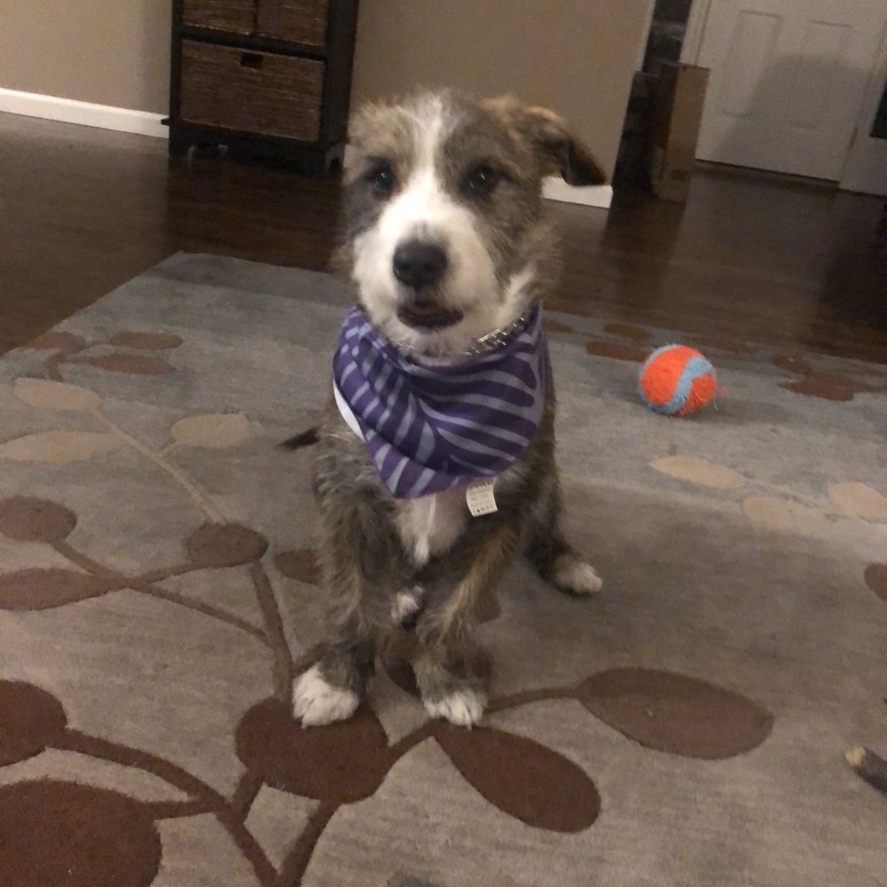 Happy boy! Happy boy!