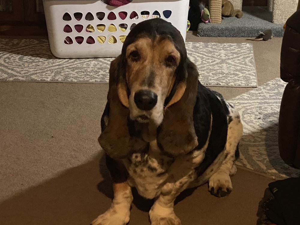 RAINBOW, AMERICA’S COUNTRY STORE UKIAH Updated May 2024 34 Photos