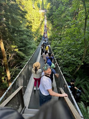 Capilano Suspension Bridge Park by null