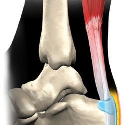 Summit Physical Therapy