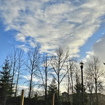 Stomping Grounds Coffee House - The View outside Stomping Grounds Coffee House - Coffee & Tea Near Me - Fairview, Oregon