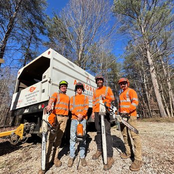 Arborall Tree Service - Tree Services Near Me - Flowery Branch, Georgia Arborall Tree Service - Tree Services Near Me - Flowery Branch, Georgia