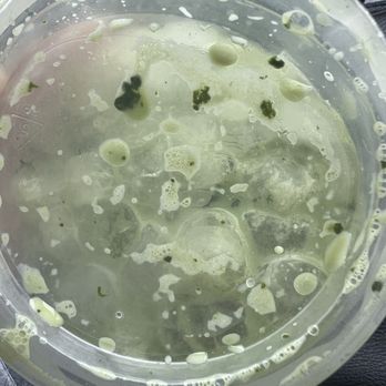 Starbucks - Iced matcha latte - Coffee & Tea Near Me - Buena Park, California