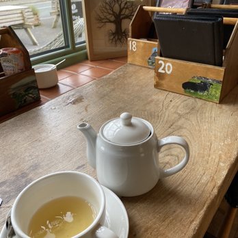 Hollywood Cafe - Super cozy with the nicest staff - Cafes Near Me