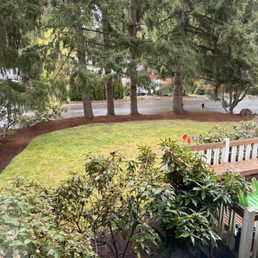 View from my front window. Shows new bark and beautiful cleaning job.