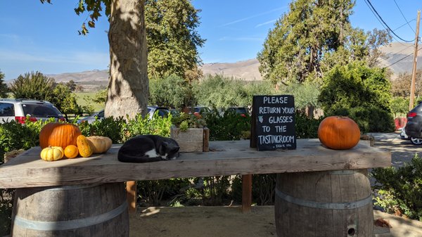 Rancho Sisquoc Winery by null